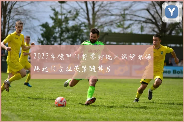 2025年德甲门将零封统计诺伊尔领跑达门古拉茨紧随其后