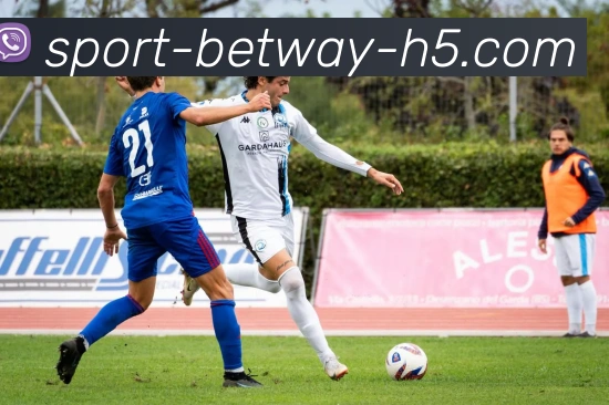 必威体育APP 高清赛事图