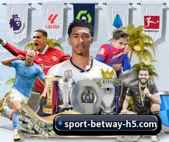 必威体育 APP（betway）